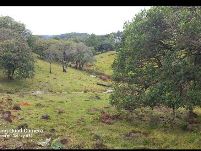 #64 - Chácara para Venda em Marechal Cândido Rondon - PR - 3