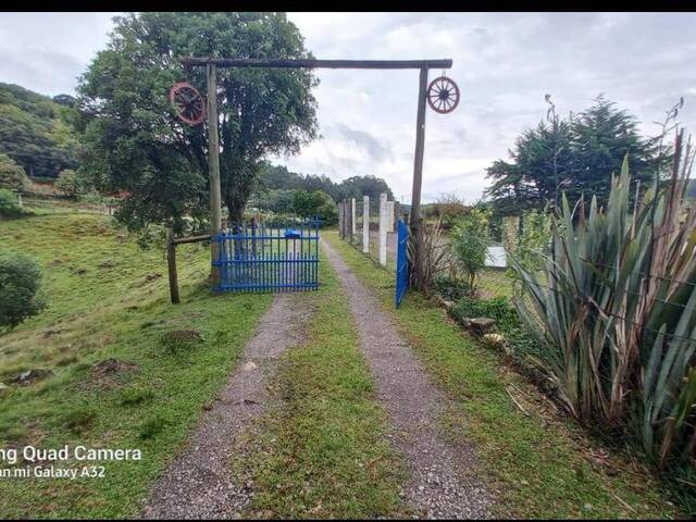 #64 - Chácara para Venda em Marechal Cândido Rondon - PR - 1