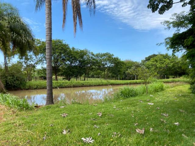 #77 - Chácara para Venda em Marechal Cândido Rondon - PR - 2